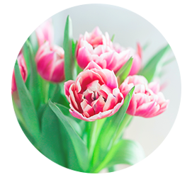 Same day Flowers Gants Hill